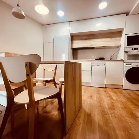 Piso Reformado,centrico,tranquilo Y Con Wifi Vut 09-398 Apartamento Burgo