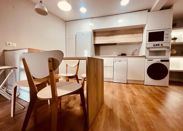 Piso Reformado,centrico,tranquilo Y Con Wifi Vut 09-398 Apartamento Burgo